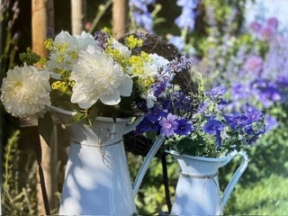 Blumen im Garten